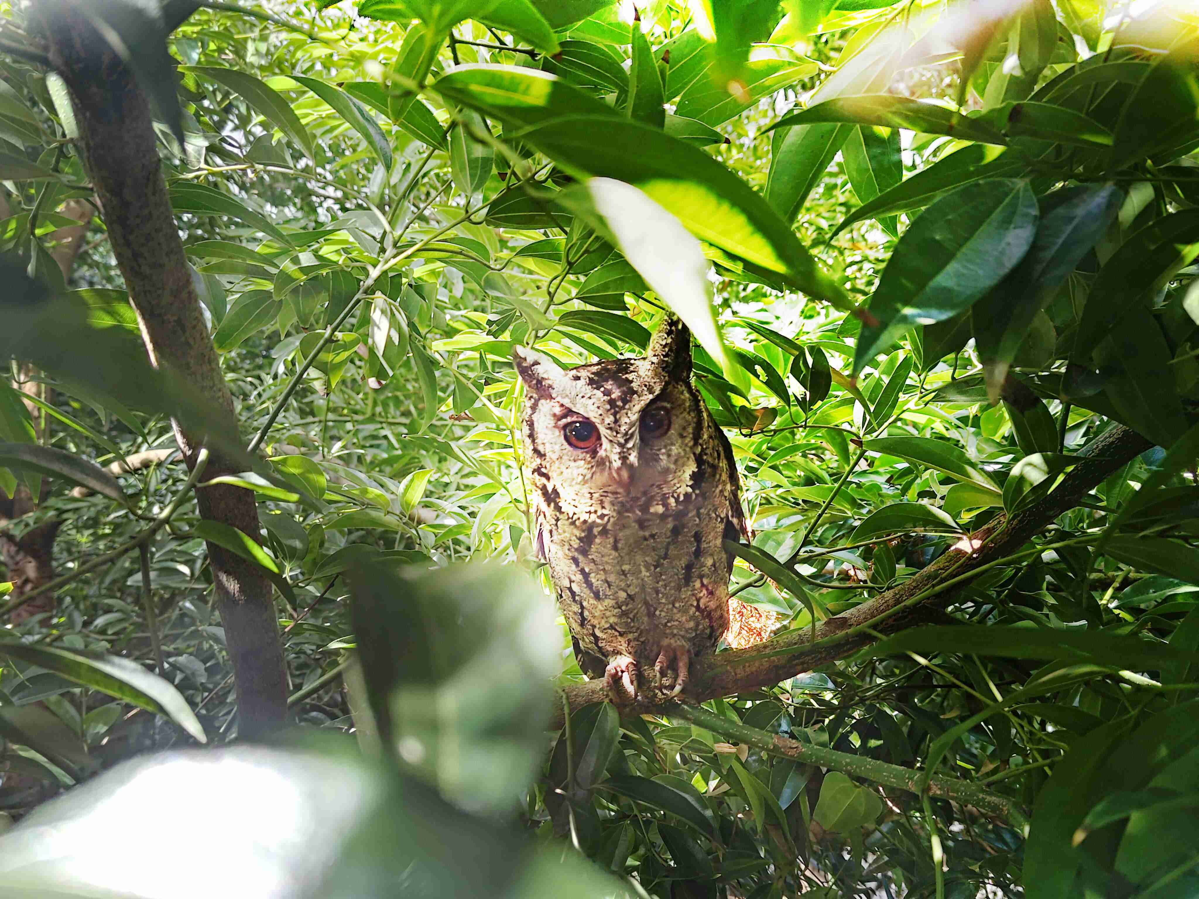 尊龙集团致力提倡净零绿生活，，，，16年以来在全球各厂区植树逾百万棵，，造就各厂区树木蔚然成林，，犹如森林工厂，，，成为许多生物的栖息地